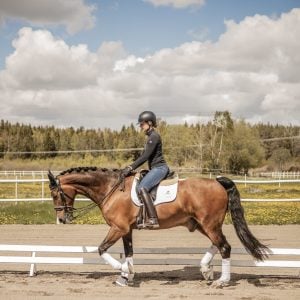 Stigbergsgard_83A3870
