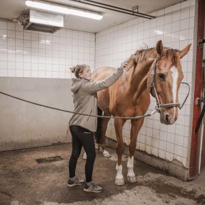 Stigbergsgard_83A3929