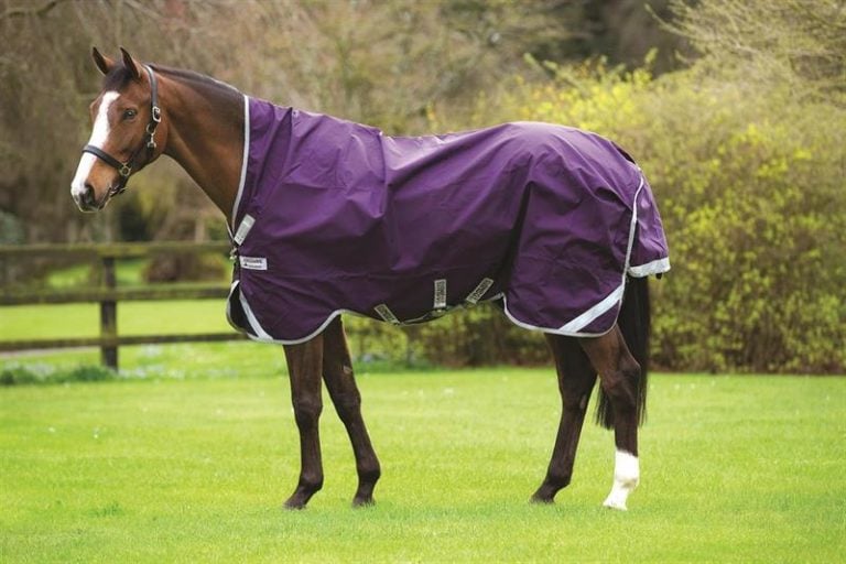 Rambo Wug Lite T/O – Horseware