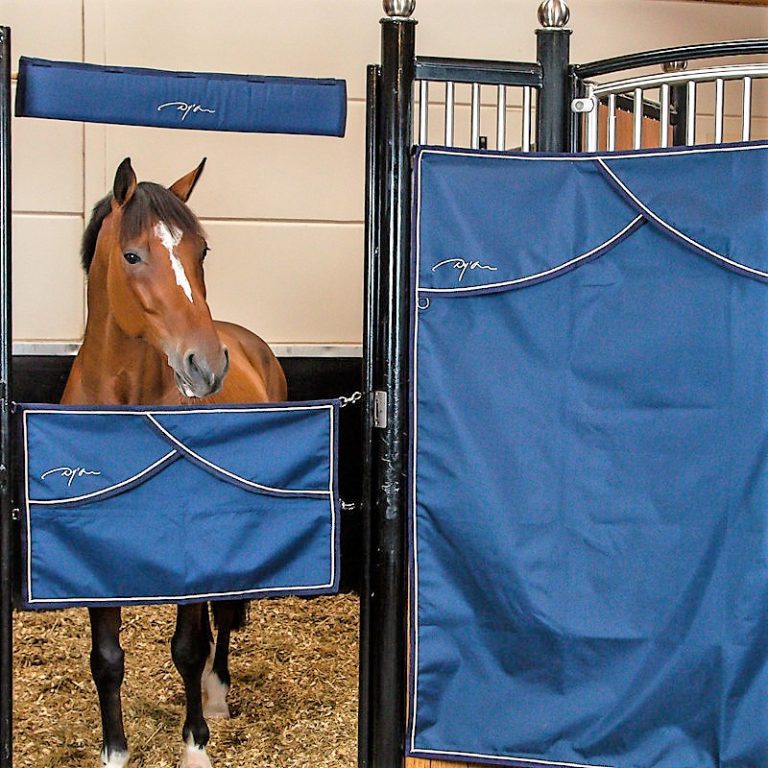 Stable guard Dyón – Dyon