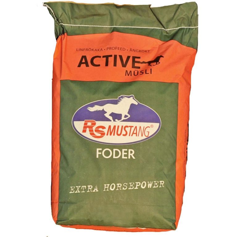 RS Mustang Active Müsli 20kg – RS Mustang