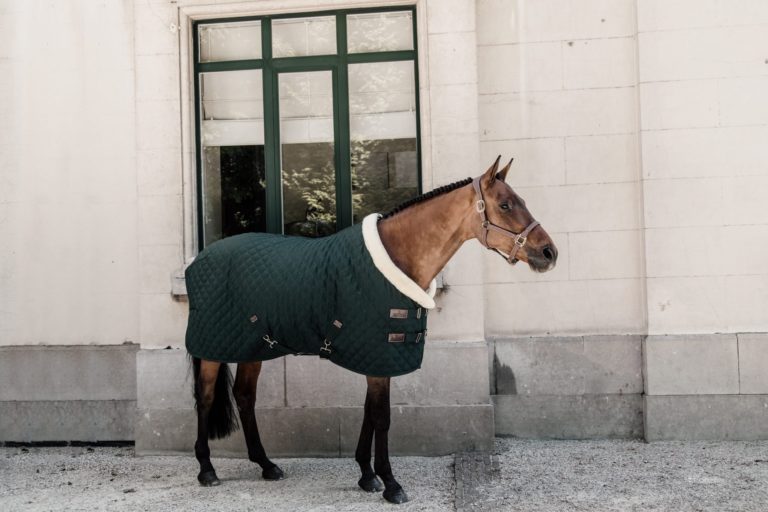 Show rug 160g – Kentucky