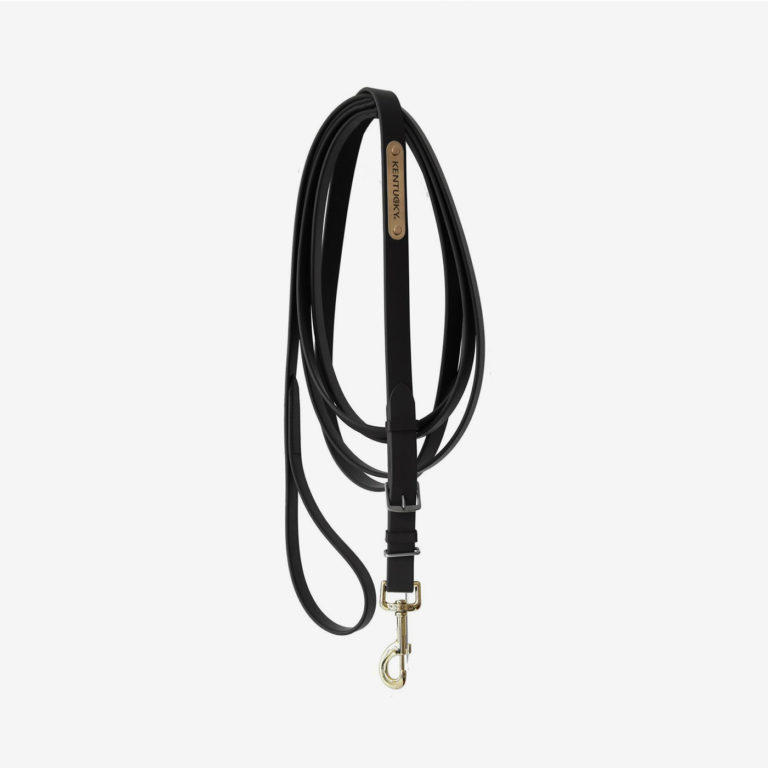 Grimskaft Stallion lead 4 m – Kentucky