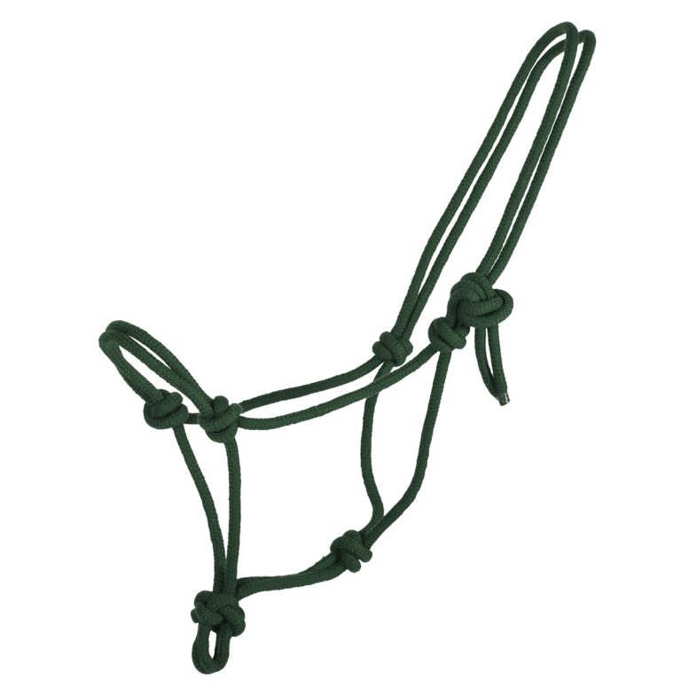 Repgrimma basic – QHP