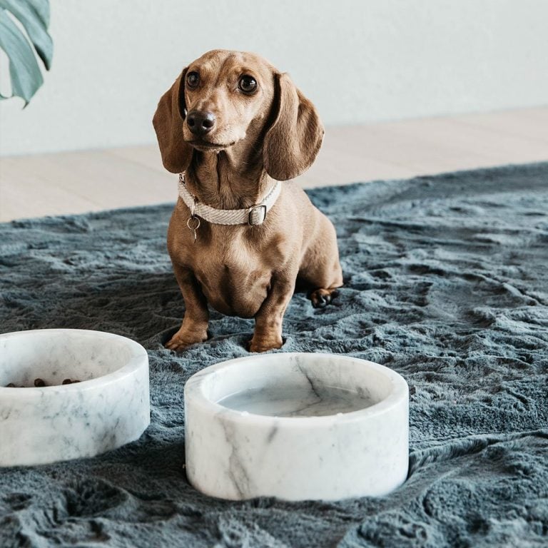 Hundskål Marble – Kentucky