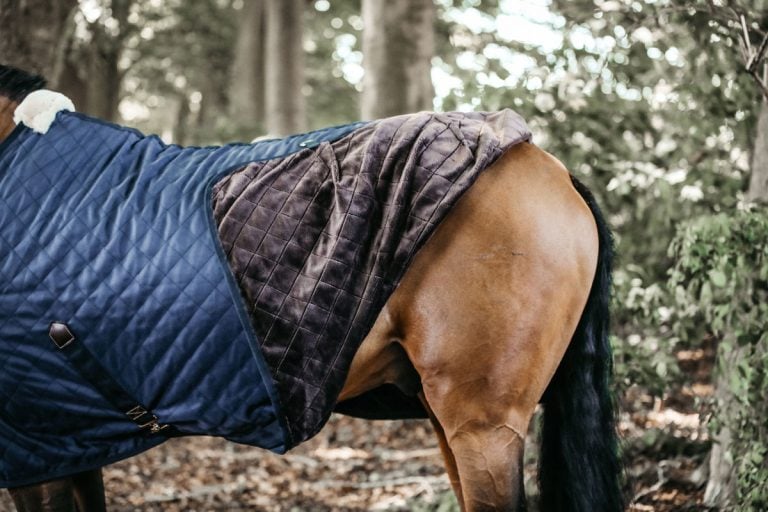 Stable rug 0g – Kentucky