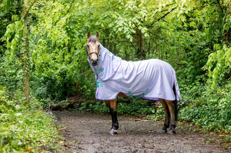 Amigo Bug Rug Pony, 85 cm – Horseware