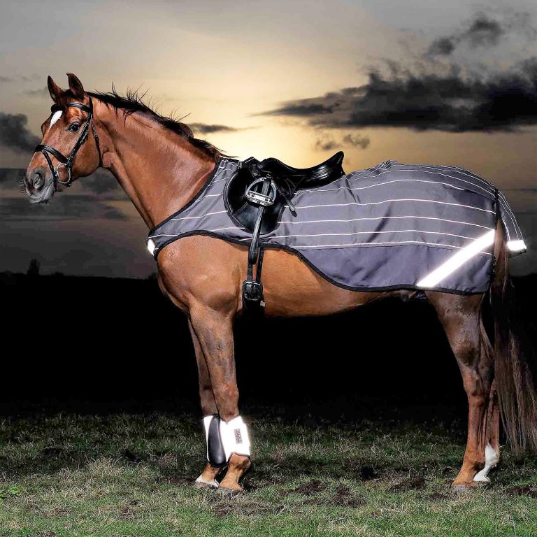Amigo Reflectech Competition Sheet, S – Horseware