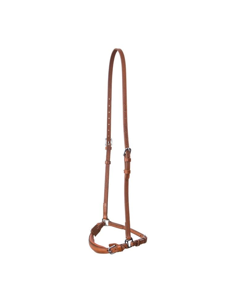 Remontnosgrimma Globus Curie – Globus Sport