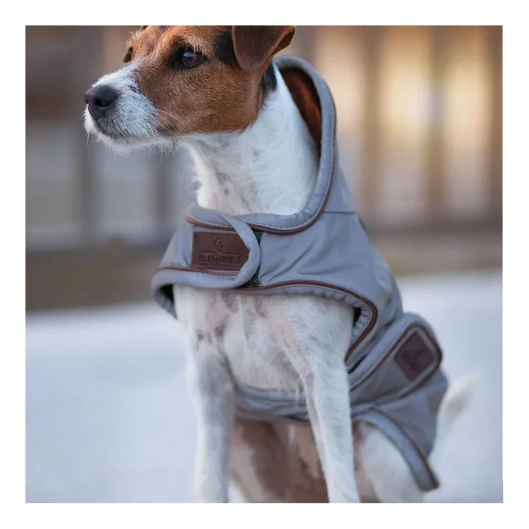 Dog coat reflective and water repellent – Kentucky