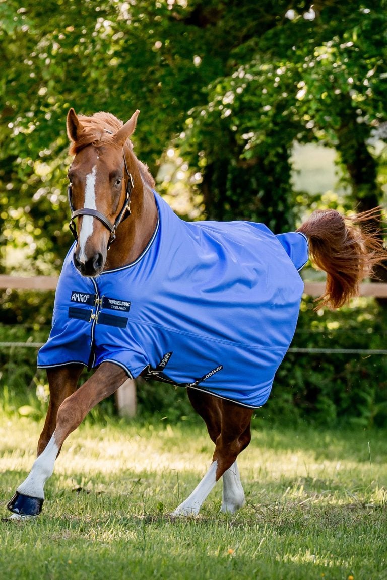 Amigo Ripstop Lite 0g Blue – Horseware