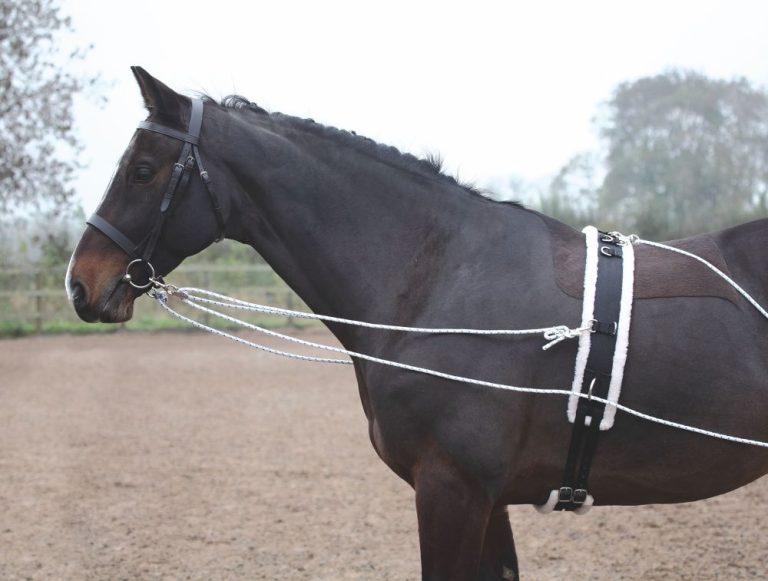 Longeringssystem – Shires