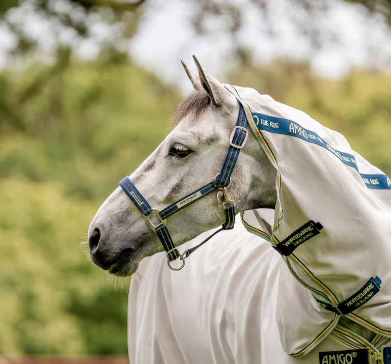 Grimma Field Safe Horseware, marin – Horseware