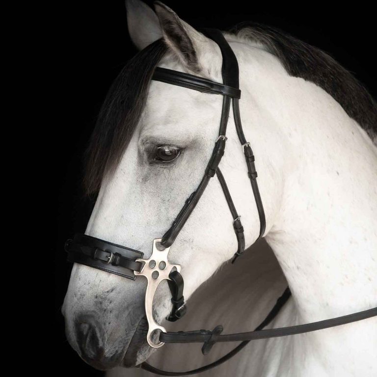 Lippo Chester Hackamore-träns – Lippo