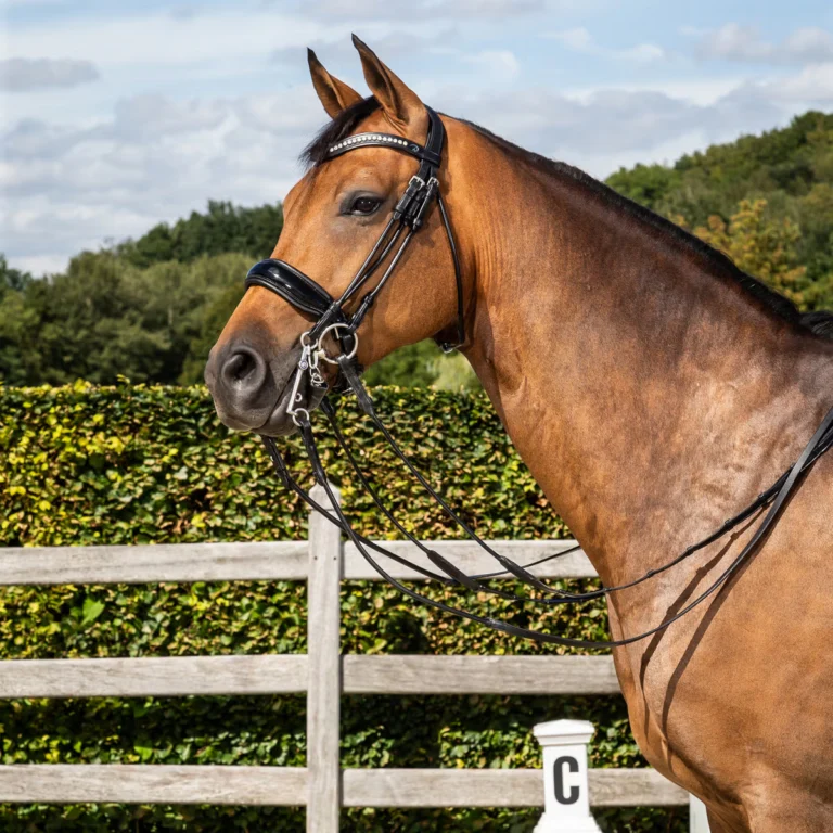 Kandar Dyón rundsytt bred lackad pullbacknosgrimma NR – Dyon