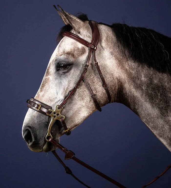 Träns för Hackamore NE S/S, Dyón – Dyon