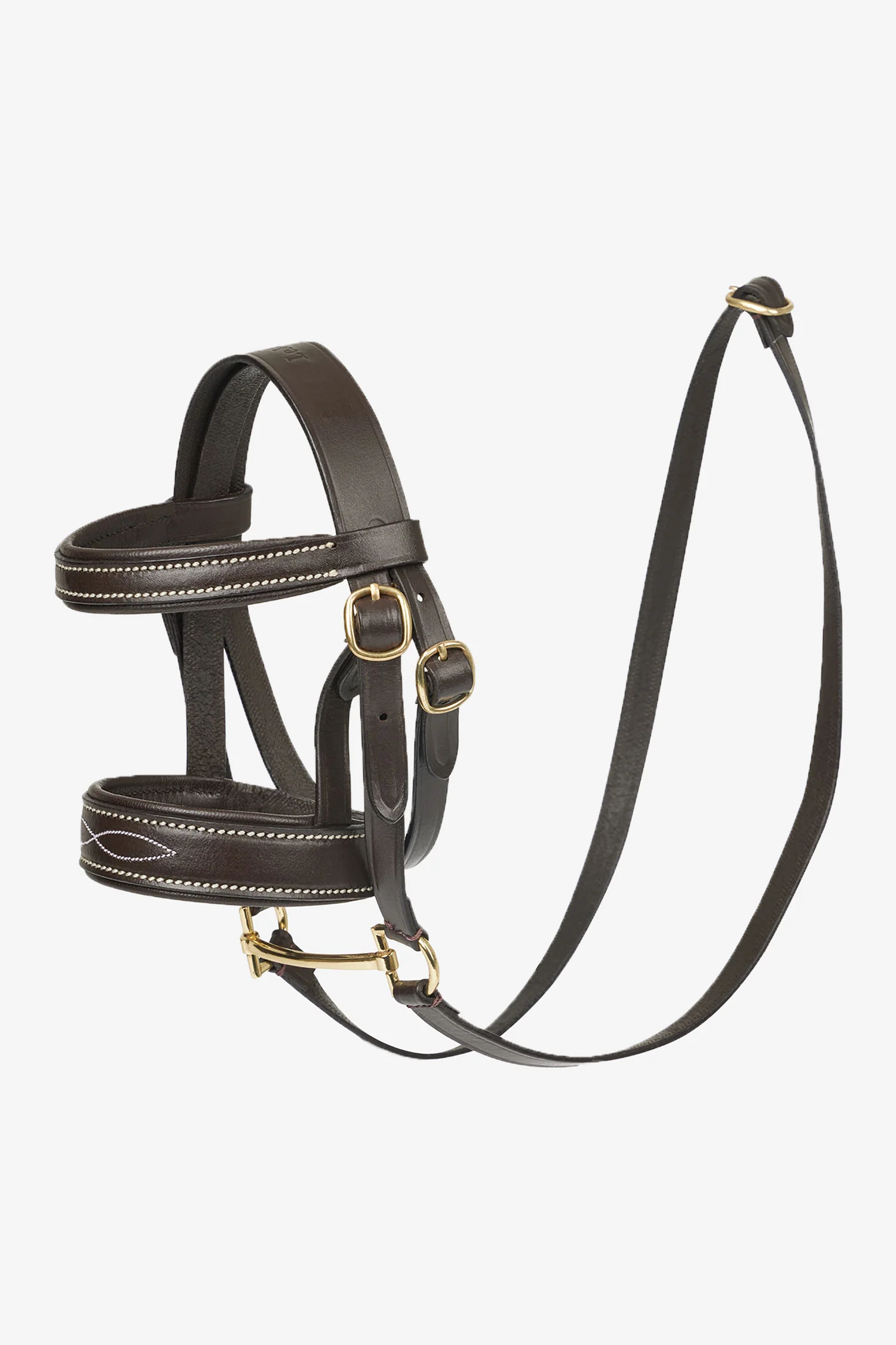 Bolalar uyda yolgiz qolishdi porno onlayn Sport zalida onlayn jinsiy aloqa