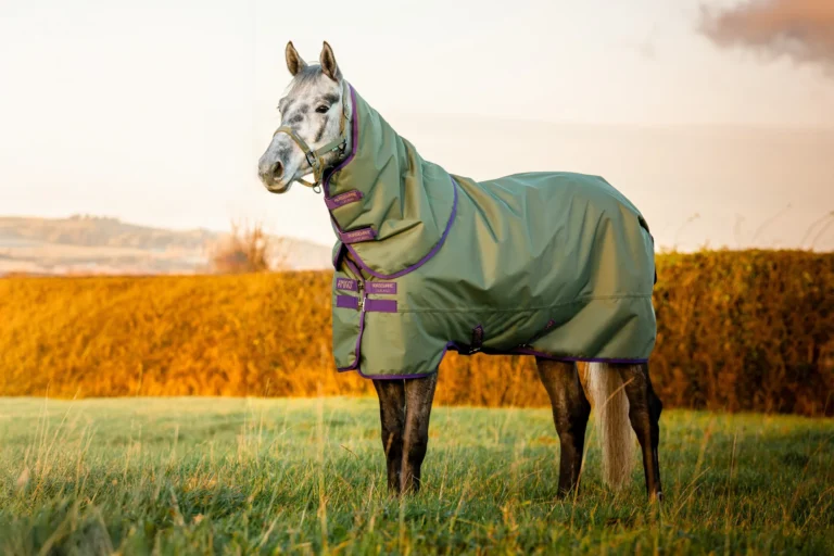 Amigo 600D Ripstop Plus Med 200g Bramble/ Winterberry – Horseware