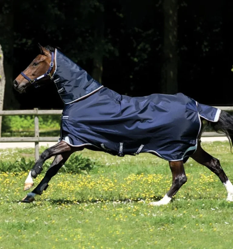 Rambo Duo Plus Turnout 100g+300g – Horseware