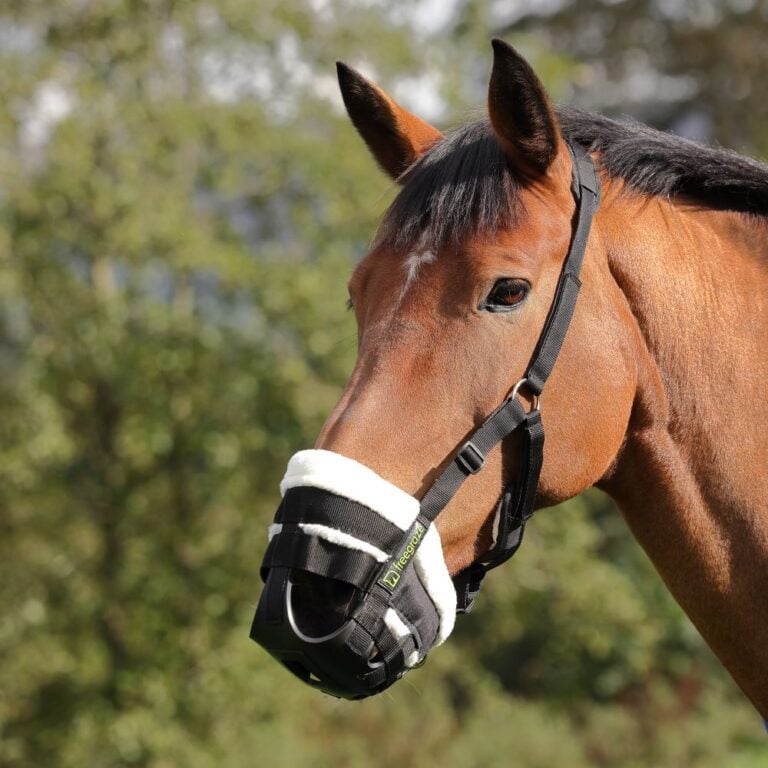 Gräsreducerare Freegraze Deluxe Airflow Svart Cob – Shires