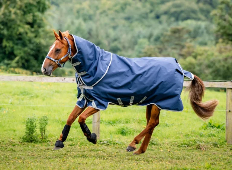 Regntäcke Amigo 1200D plus T/O 0g, Navy/Titanium – Horseware