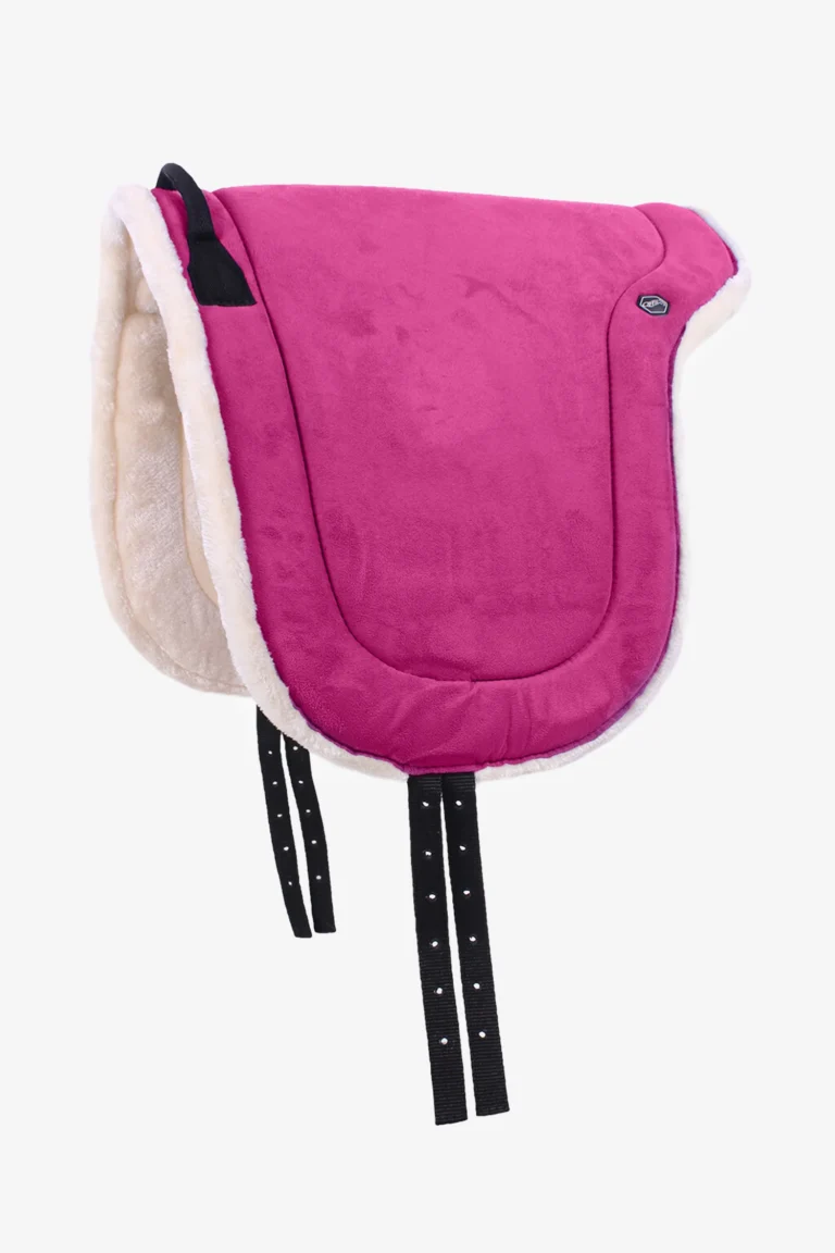 Barbackapad – QHP