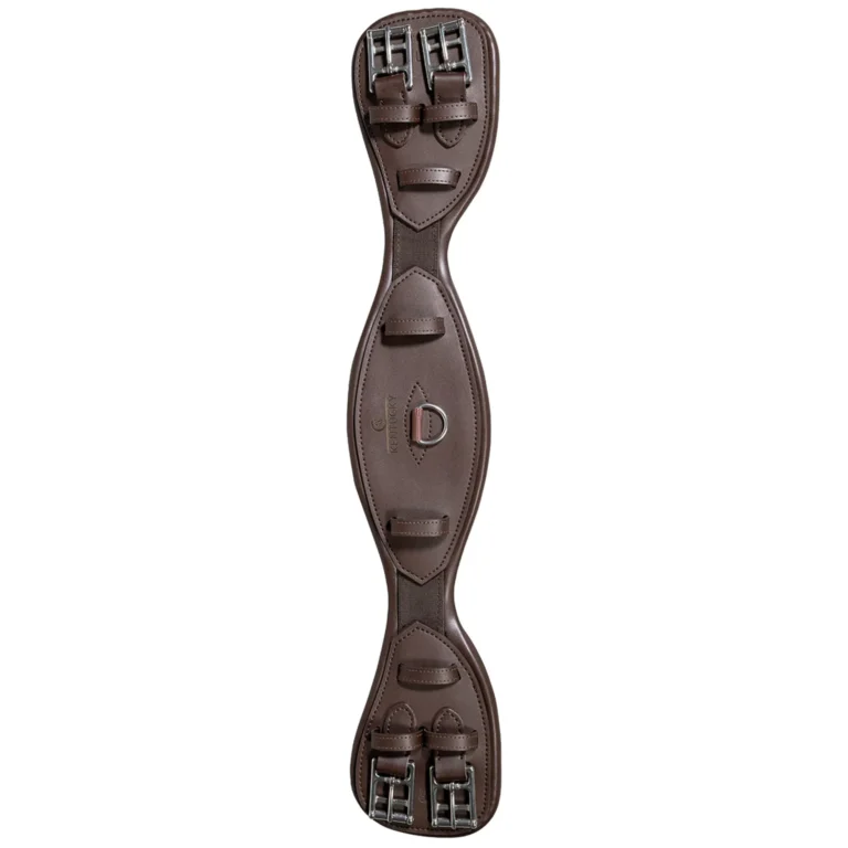 Sadelgjord Anatomisk, Kort – Kentucky