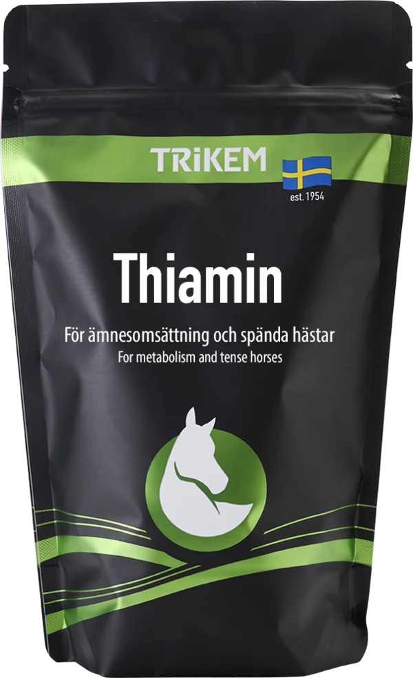 Thiamin Trikem 500g