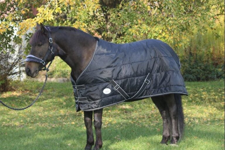 Stalltäcke 200g Stigsbergs Gård, svart – Stigsbergs Gård