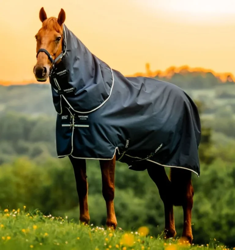 Amigo Ripstop 900D Plus Pony Turnout 200g, Marin – Horseware