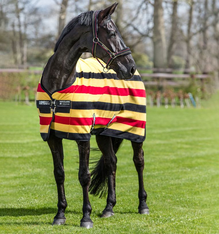Rambo Deluxe Fleece Newmarket Whitney Stripe Gold