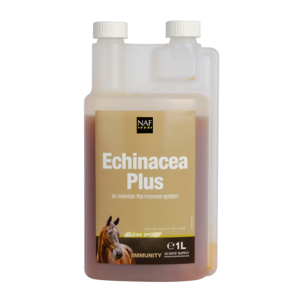 Echinacea