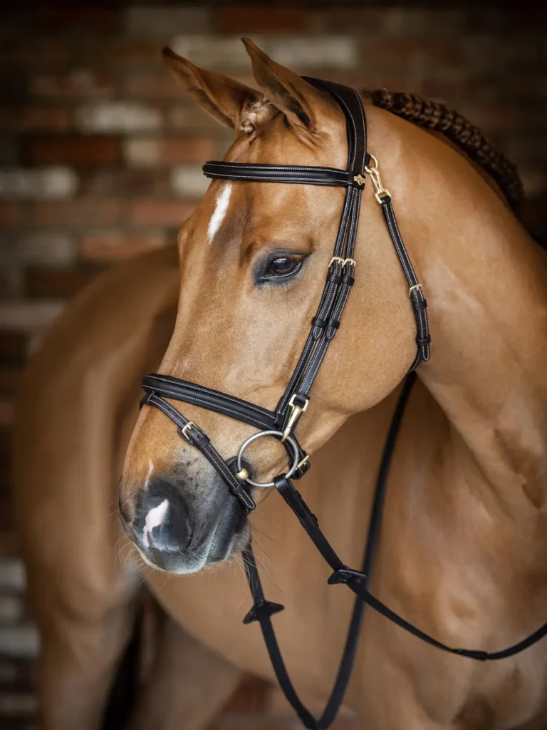 Träns Kudos Work Bridle – LeMieux