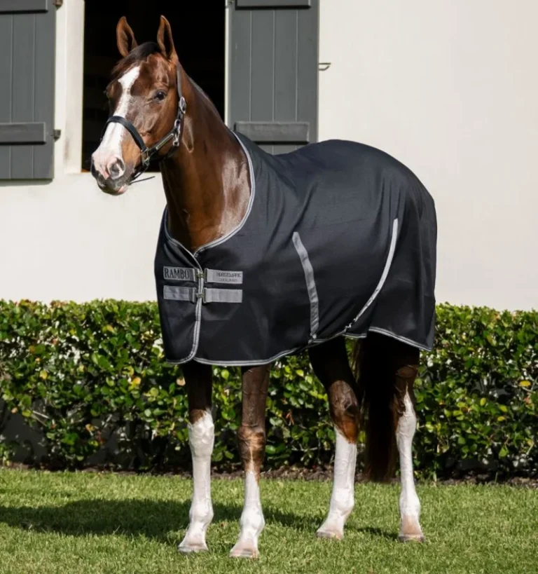 Rambo Stable Sheet, svart – Horseware
