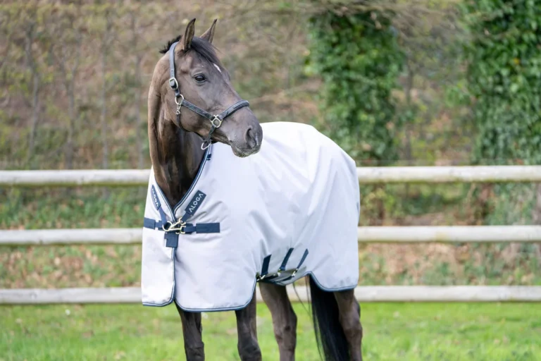 Aloga Pro Turnout 50g – Aloga Equestrian