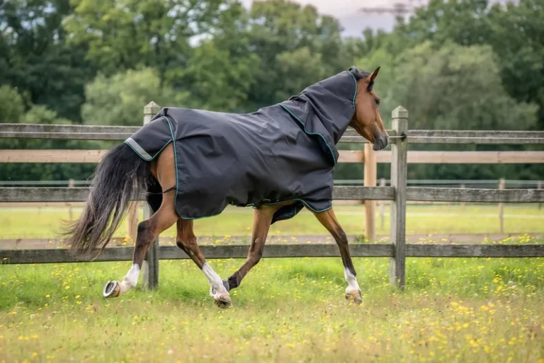 Aloga Pro Turnout 0g, 1200D – Aloga Equestrian