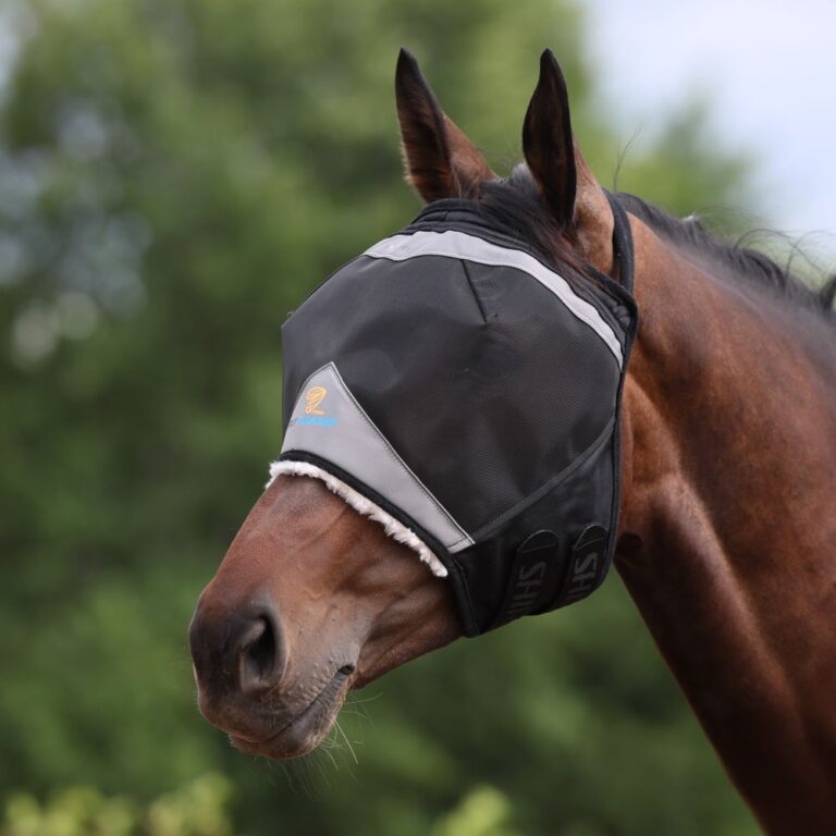 Flughuva utan öron, Jet black – Shires