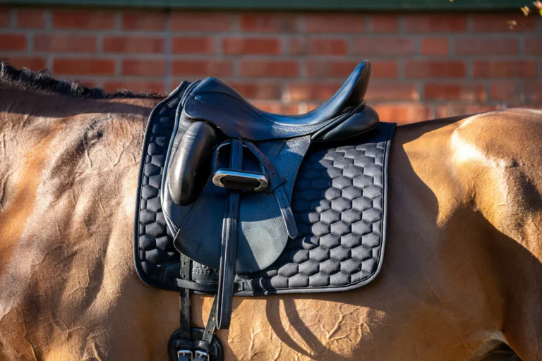 Dressyrschabrak Aloga – Aloga Equestrian
