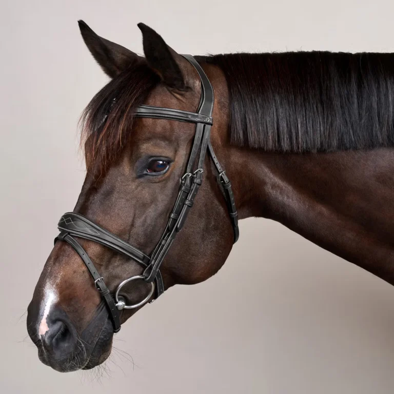 Anatomic Flash nosgrimmaträns – Dyon