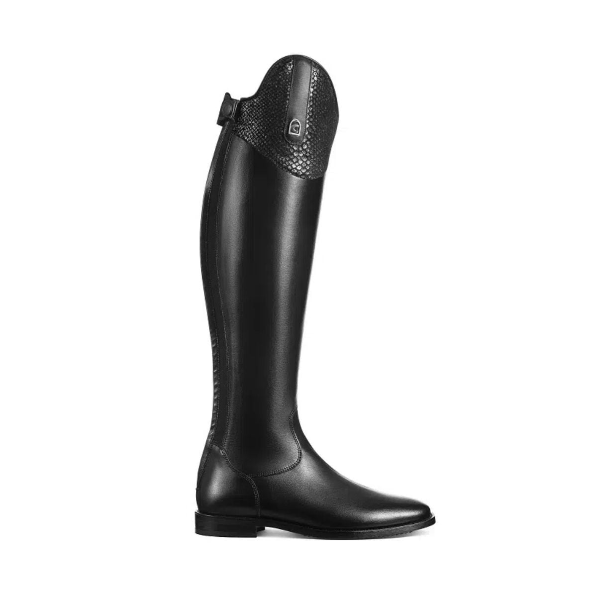 Linus dressage ed pitone