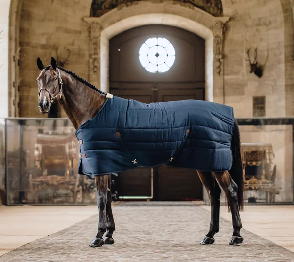 Stable rug classic 200g – Kentucky