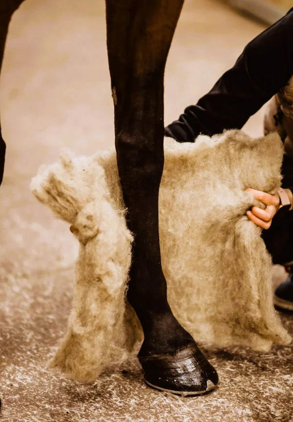 VILLAge Wool pads