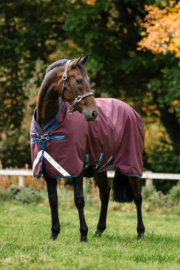 Amigo 1200D T/O 50g – Horseware