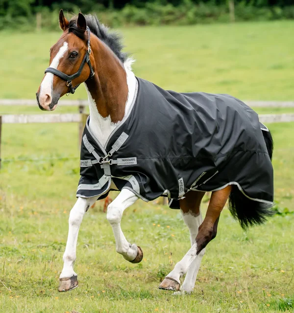 Amigo 1200D XL 150g – Horseware