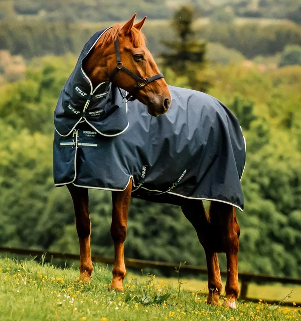 Amigo Ripstop 900D Plus Turnout 200g – Horseware