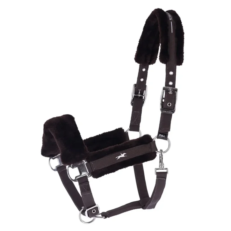 Grimma SP Melbourne – Schockemöhle Sports