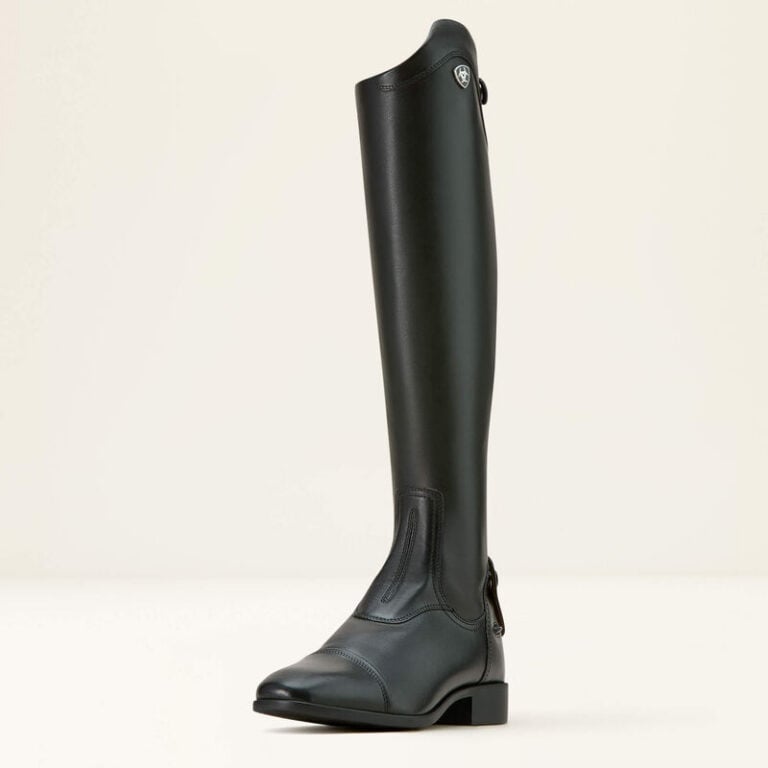 Stövel Palisade Dress WMS – Ariat