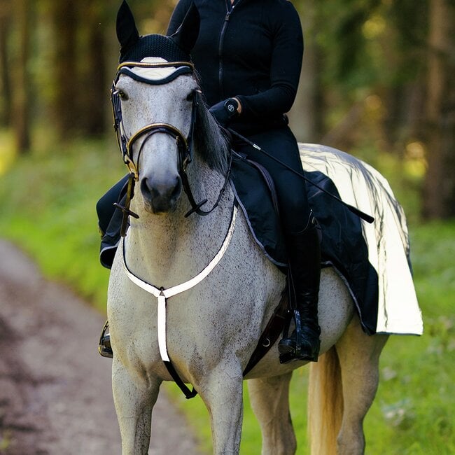 Reflexbrösta Hansbo Sport – Hansbo sport
