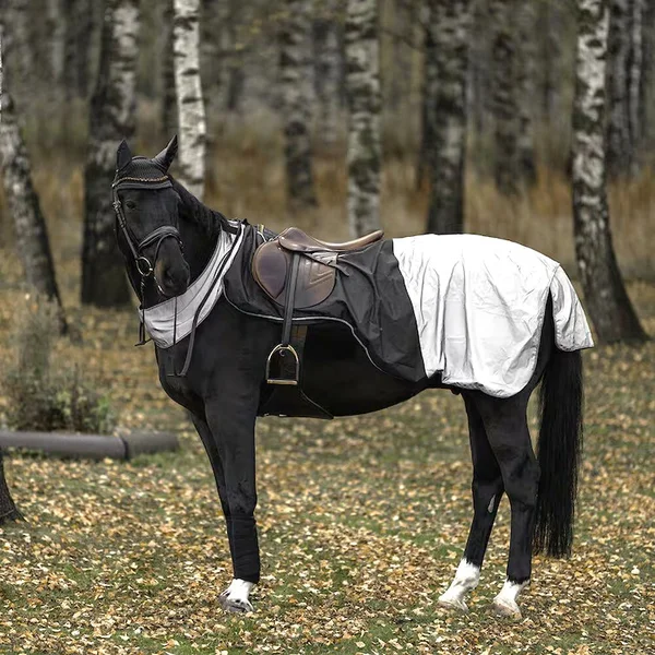 Reflexridtäcke Brilliance, Hansbo Sport – Hansbo sport