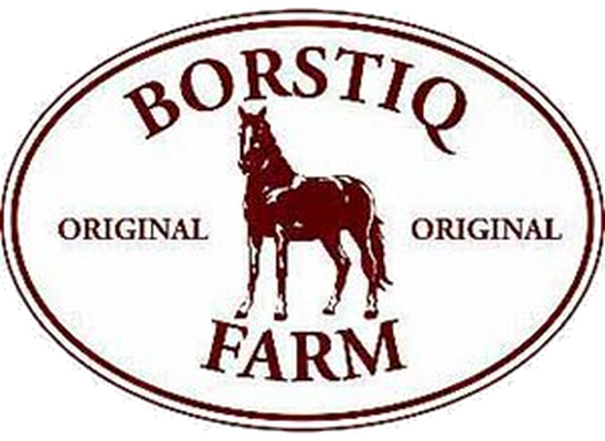 Borstiq